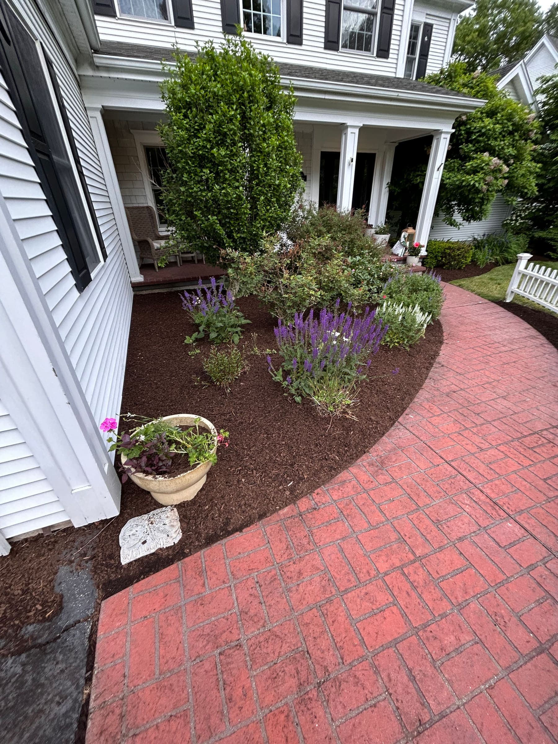 Dark mulch bed with lavender and trimmed shrubs along a brick walkway at a shoreline Connecticut home
