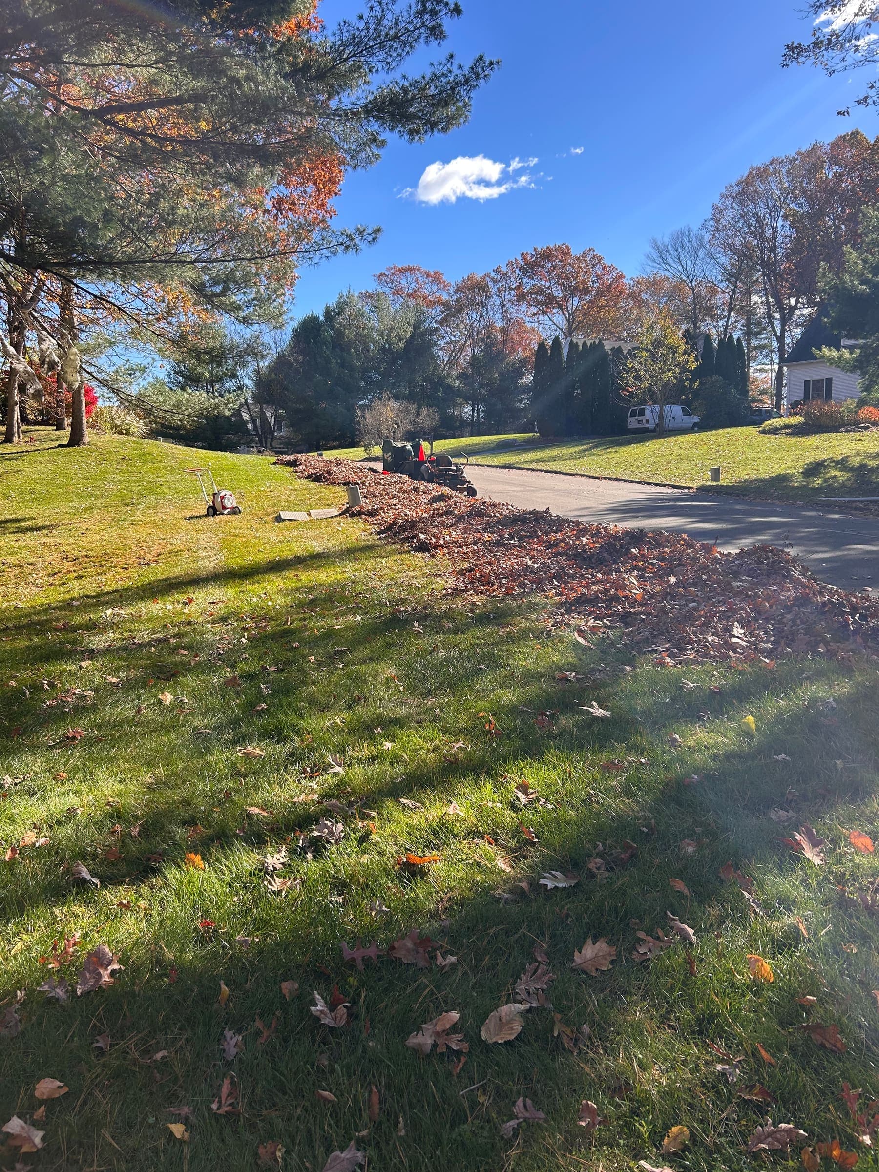 Autumn leaves raked into a long row along a driveway during a fall cleanup in Madison, CT